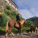 Image for article titled Witcher References Make Everything Better, Including Kingdom Come: Deliverance